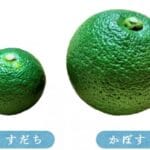 「ゆずとかぼすの違いを徹底解説！特性や味わいの相違点を探る」