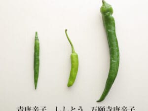 「唐辛子とししとうの違いとは?それぞれの特徴と活用法を解説!」