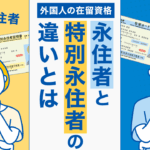 特別永住者証明書と在留カードの違いを徹底解説！その特徴とは？