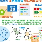 dna と rna の 違い：生命の設計図とその伝達メカニズムを探る