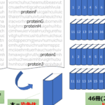 DNAと遺伝子の違い：理解を深めるための基礎知識まとめ