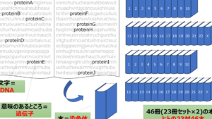 DNAと遺伝子の違い：理解を深めるための基礎知識まとめ