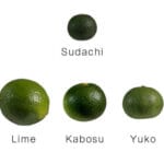 「かぼすとすだちの違いとは？特徴や味わいを徹底比較してみた！」