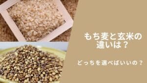 「もち麦と胚芽もち麦の違いとは?健康効果や栄養価を比較!」