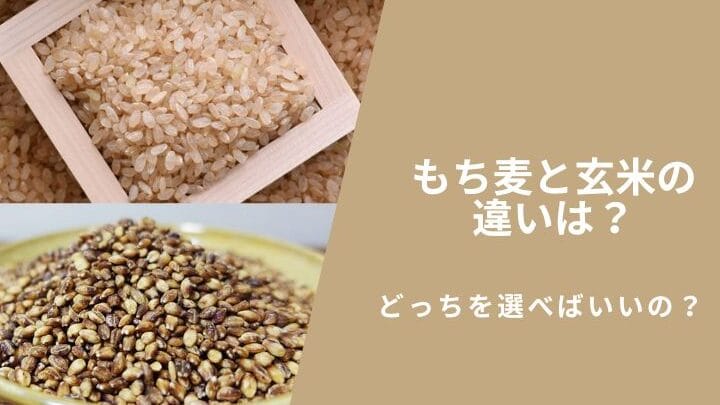 「もち麦と胚芽もち麦の違いとは?健康効果や栄養価を比較!」