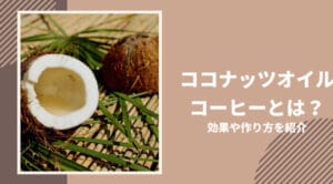 「ココナッツオイルとココナッツミルクの違いを徹底比較!あなたにぴったりの選び方」
