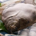 「マコガレイ と マガレイ の 違いを徹底解説！見分け方から味わいまで」