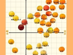 「レモンとみかんの違いを徹底解説！味や栄養、用途を比較」