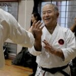 「少林寺と空手の違いを徹底解説！武道のルーツと特徴に迫る」