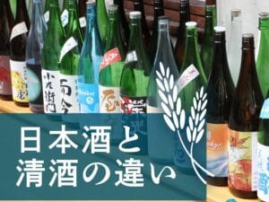 「清酒と純米酒の違いを徹底解説！それぞれの特徴と楽しみ方」