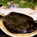 「黒カレイとクロガシラの違いを徹底解説！見た目や生態の相違点に迫る」