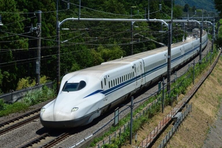 【2024年最新版】 排反と独立の違いを理解するための基本知識と具体例