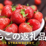 へびいちごと野いちごの違いを徹底解説！見分け方と特徴まとめ