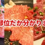 カルビ と ハラミ の 違い：美味しさの秘密を徹底解説！
