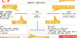 ソーシャルワーカーとケアマネの違いを徹底解説！役割と特徴を理解しよう