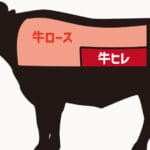 ヒレ と ロース の 違い：お肉の部位の特徴と料理法を徹底解説