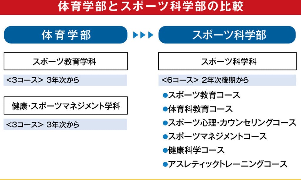 体育 と スポーツ の 違い レポート:その定義と重要性を探る