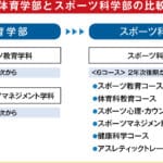 体育 と スポーツ の 違い レポート：その定義と重要性を探る