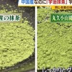 宇治抹茶と抹茶の違いとは？お茶の魅力を深堀り！