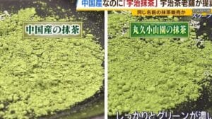宇治抹茶と抹茶の違いとは?お茶の魅力を深堀り!
