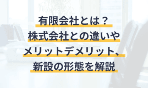 有限会社と株式会社の違いを徹底解説！あなたに合った企業形態とは？