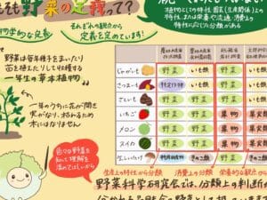 果物と野菜の違いを知ろう！栄養や用途のポイント解説
