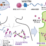核酸とDNAの違いを徹底解説！分子の基本を知ろう