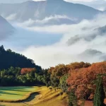 楓と紅葉の違い:自然が織りなす美しい風景の真実とは