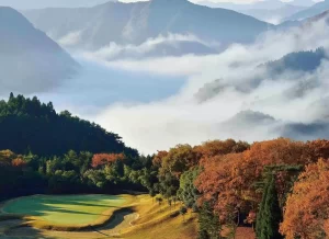 楓と紅葉の違い：自然が織りなす美しい風景の真実とは