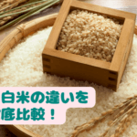 玄米と白米の違い：健康効果や栄養価を徹底比較！