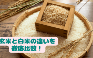 玄米と白米の違い:健康効果や栄養価を徹底比較!