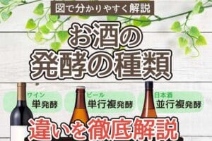発酵と醸造の違いとは?知っておきたい基礎知識と特徴を解説!