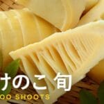 破竹と筍の違い：見た目や味わいの特徴を徹底解説！