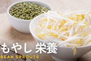 緑豆と大豆の違い:栄養価や活用法を徹底解説!