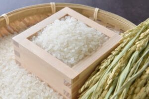 胚芽米と発芽米の違いを徹底解説!健康効果や栄養価の比較